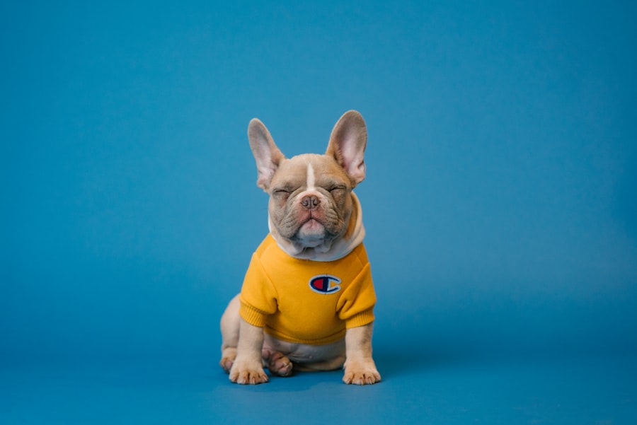 Happy dog ready for social posts and local marketing